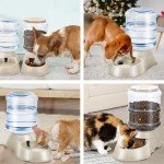 Automatic Pet Food and Water Bowls Set