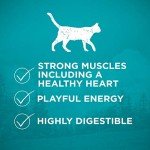 Purina ONE Grain-Free High Protein Cat Food - 3.2 lb