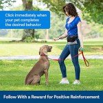 PetSafe Clik-R Dog Training Clicker - Teal