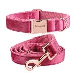 Soft Velvet Dog Collar and Leash Set for Pets
