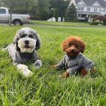 Heather Grey Thermal Turtleneck Sweater for Pets