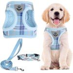 PUPTECK No Pull Adjustable Dog Harness Set