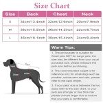 Cozy Turtleneck Dog Sweater for Winter Warmth