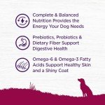 Wellness Complete Health Grain-Free Small Dog Food