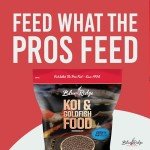 Blue Ridge Koi & Goldfish Food Pellets 5lb