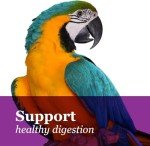 Tropical Carnival Gourmet Macaw Food - Big Bites