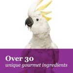 Tropical Carnival Gourmet Macaw Food - Big Bites