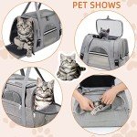 Airline Approved Pet Carrier for Cats and Dogs