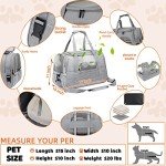 Airline Approved Pet Carrier for Cats and Dogs
