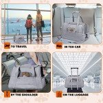 Airline Approved Pet Carrier for Cats and Dogs