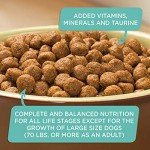 Rachael Ray Nutrish Zero Grain Salmon Dog Food