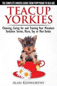 Teacup Yorkies: Your Essential Care Guide