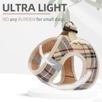 PUPTECK Adjustable No Pull Dog Harness & Leash Set