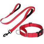 Reflective Martingale Collar and Leash Set for Dogs