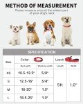 Reflective Martingale Collar and Leash Set for Dogs