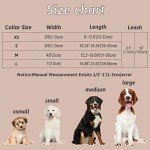 Floral Bow Tie Dog Collar and Leash Set