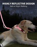 Reflective Martingale Collar and Leash Set for Dogs