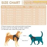 Cozy Mesh Dog Harness Collar and Leash Set