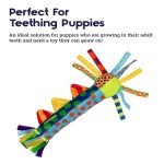 Cool Teething Stick for Puppies - Freezable Relief