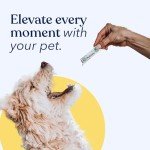 Honest Paws Dog Probiotic Powder with Prebiotics