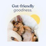 Honest Paws Dog Probiotic Powder with Prebiotics