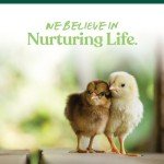 Manna Pro Medicated Chick Starter Grower Crumble