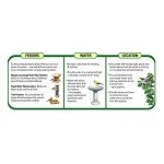 Wagner's Oil Sunflower Seed, 5-Pound Bag