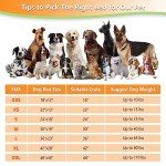 KISYYO Washable Dog Bed for Small Dogs