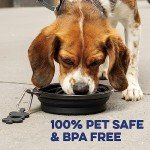 Extra-Large Collapsible Dog Bowl with Carabiner