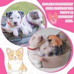 36Pcs Dog Collar and Leash Set for Puppies