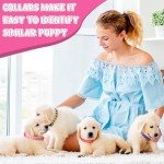 36Pcs Dog Collar and Leash Set for Puppies