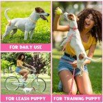 36Pcs Dog Collar and Leash Set for Puppies