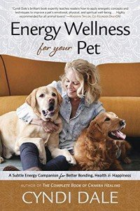 Pet Energy Wellness Companion for Health and Happiness
