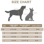 Plaid Dog Harness with Collar and Leash Set