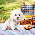 Plaid Dog Harness with Collar and Leash Set