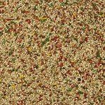 Kaytee Pro Health Parakeet Food - 2lb