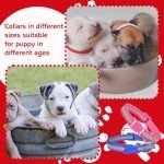 36-Piece Reflective Dog Collar and Leash Set