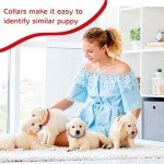 36-Piece Reflective Dog Collar and Leash Set