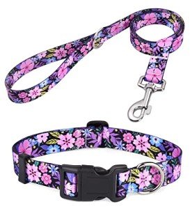 Bohemian Floral Dog Collar and Leash Set - Pink
