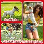 36-Piece Reflective Dog Collar and Leash Set