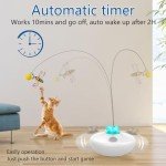 Interactive Rechargeable Cat Tumbler Toy with Feathers