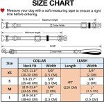 Bohemian Floral Dog Collar and Leash Set - Pink