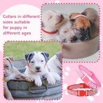 36 Pcs Adjustable Puppy Collar and Leash Set