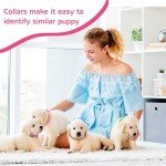 36 Pcs Adjustable Puppy Collar and Leash Set