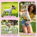 36 Pcs Adjustable Puppy Collar and Leash Set