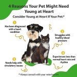 Young at Heart: Herbal Supplement for Pets
