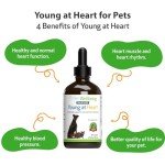 Young at Heart: Herbal Supplement for Pets