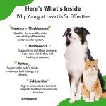 Young at Heart: Herbal Supplement for Pets