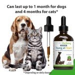 Young at Heart: Herbal Supplement for Pets