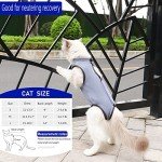 Cat Recovery Suit Onesie for Post-Surgery Comfort